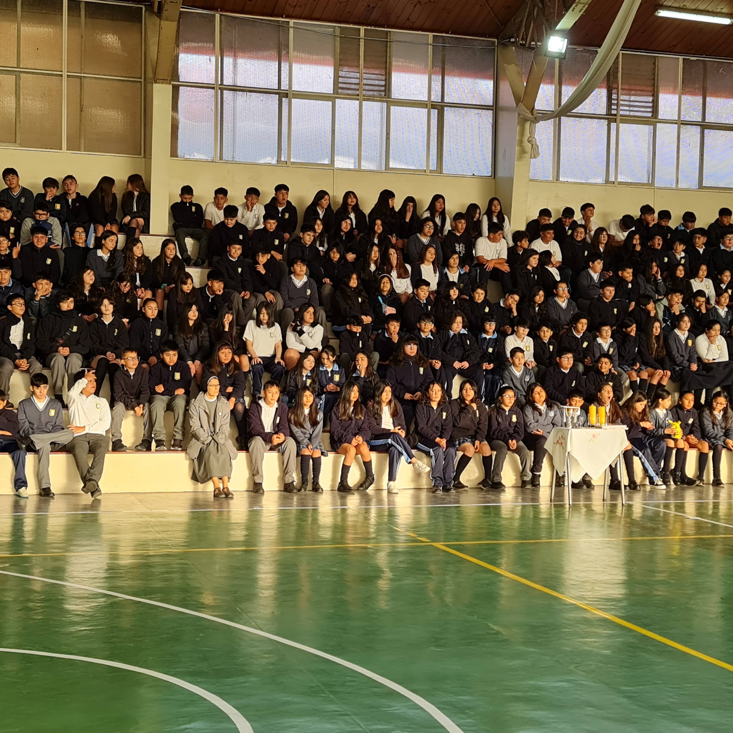 Segundo Ciclo Básico