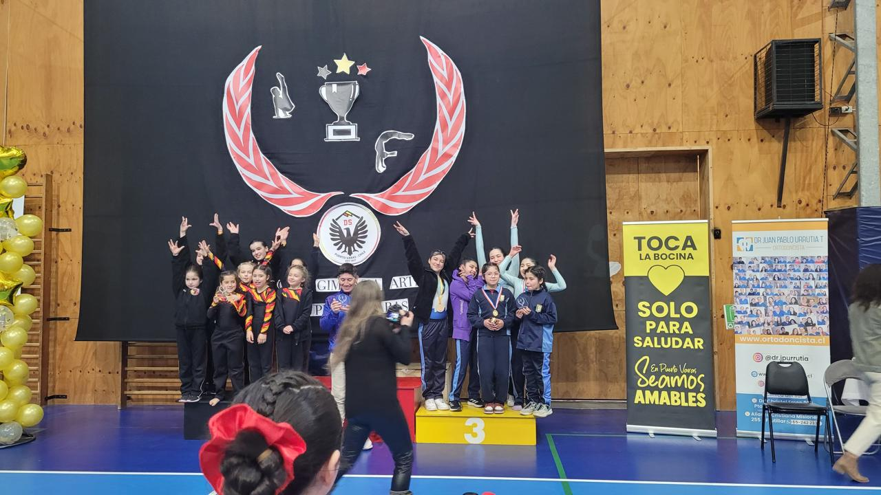 Equipo del Taller de Gimnasia Artística