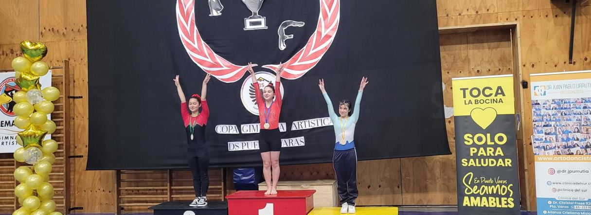 Taller de Gimnasia Artística