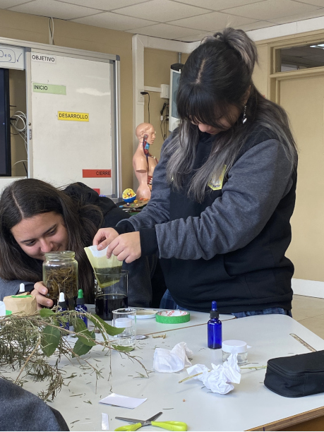 Imagen de la noticia